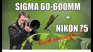 1 Year Later: Nikon Z5 & Sigma 60-600mm Sports Review. Deal or Dud?