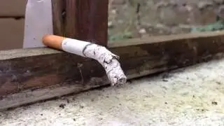 TIME-LAPSE - Cigarette burning.