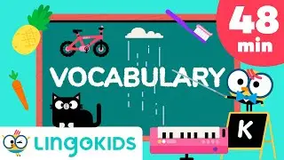 VOCABULARY FOR KIDS 📓🧑‍🏫 | Learn English Vocabulary | Lingokids