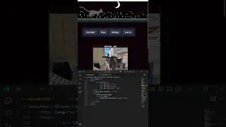 HTML CSS ANIMATION cat walk loading animation for webpage using javascript