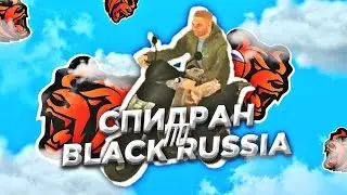 🔥СПИДРАН по БЛЭК РАШЕ | ПУТЬ Бомжа до Мажора | BLACK RUSSIA CRMP Mobile.