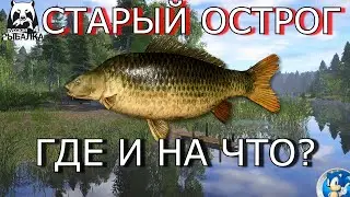 🌟СТАРЫЙ ОСТРОГ🌟КАРП ЧЕШУЙЧАТЫЙ🌟Русская Рыбалка 4(РР4)🌟