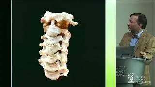 Subaxial Cervical Spine Anatomy