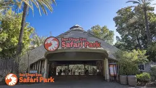 My Full Tour of the San Diego Zoo Safari Park in San Diego, California