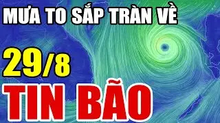 Dự báo thời tiết hôm nay và ngày mai 29/8 | Dự báo thời tiết trong 3 ngày tới #thời tiết