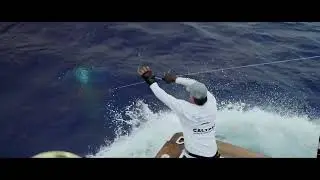 (Trailer) BKK Australia: Monster Marlin Fishing Aboard Calypso with Captain Tim Dean