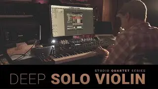 8Dio Studio Quartet - Studio Violin - Live Legato Demo