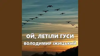 Ой, летіли гуси