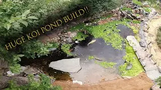 Building our 3500 Gallon Backyard Koi Pond!