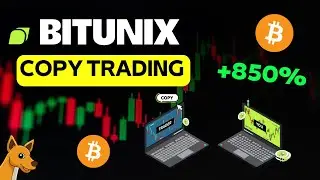 BITUNIX Copy Trading: Copy the Best Crypto Traders with One Click! 🤑