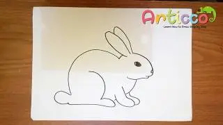 How to Draw a Bunny Step by Step