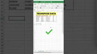 Excel tutoring Excel for beginners basic excel advanced excel transpose rows data into columns