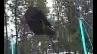 Турник. Оборот назад в седе