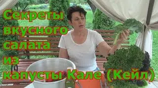 Как использовать капусту КАЛЕ (КЕЙЛ) в свежем виде в салатах