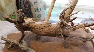 Коряга, декор в аквариум. Подготовка коряги для погружения в аквариум. Вываривание.