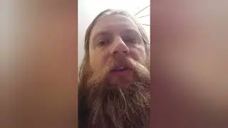 Чем кормят Алис в школах