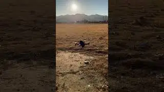 drone landing amazing