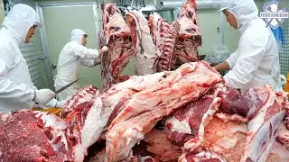 서울 강남에서 이가격에 한우를? 식육식당에서 바로 구워먹는 가성비 좋은 한우 / Korean meat factory