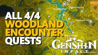 Woodland Encounter Genshin Impact All 4/4