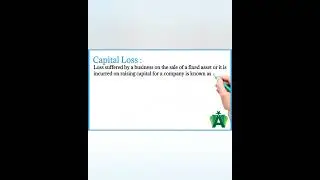 What is capital loss?