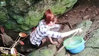 Trúng lớn   kiếm ăn dọc bờ suối   Nhịp Sống Nông Thôn
