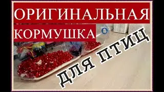 Кормушка для птиц своими руками  Как сделать кормушку для птиц Кормушка для птиц из бутылки