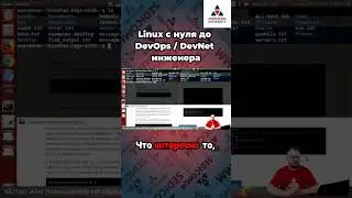 Работа команды ls без опций и аргументов! 🚀 Курс #linux с нуля до #devops / #devnet инженера