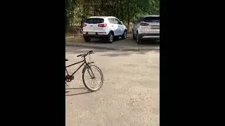 Г. Мурманск, ул. Шабалина д. 5. Ставят машины на тротуар.