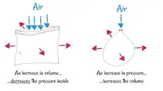 Inhaling and Exhaling - How breathing works