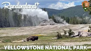 Yellowstone in one day... was it worth it?