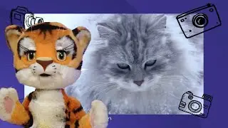 ☀️С добрым утром, малыши! Зима - Покажи класс!