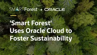 How NIBIO is fostering more sustainable forests using innovative sensors, Oracle Cloud (OCI) and AI