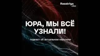 Тревожная нация. Откуда берется тревога и каковы ее последствия?