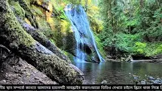বাংলা দেশে এই প্রথম 😱 বাইরে ডিস এর মত ঘুরতে যাওয়ার জায়গা