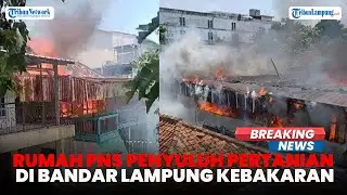 Rumah PNS Kebakaran, Damkarmat Bandar Lampung Kerahkan 60 Personel