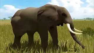 ALL AFRICAN BUSH ELEPHANT FOOTAGE! Wild Savannah Roblox