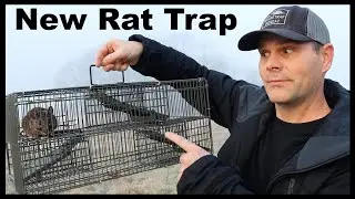 This New Rat & Mouse Trap Has 1 Major Flaw But It Still Works. Mousetrap Monday