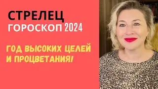 СТРЕЛЕЦ 2024 ♐️ ВЫСОКИЙ ПОЛЕТ 🌠 ГОРОСКОП ⭐️ AIDA LEMAR