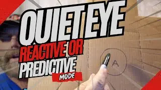 The Idea of the Quiet Eye