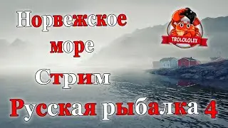 Русская рыбалка 4. Стрим Норвежское море