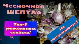 Чесночная ШЕЛУХА: ТОП-7 целебных свойств!  Узнав о них,  вы точно  перестанете ее выбрасывать!