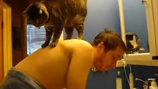 Cat jumps up on me when I get out of shower