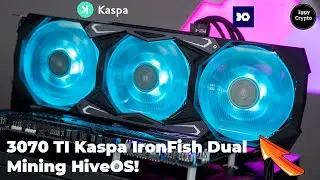 3070 TI Kaspa IronFish Dual Mining HiveOS!