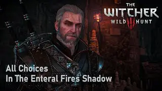 All Choices - In The Enteral Fires Shadow - The Witcher 3 Next Gen Update