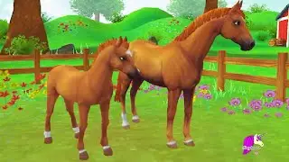 Taking Care of A Mare In Foal ! Star Stable Online Horse App Video