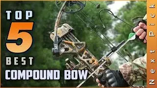 Top 5 Best Compound Bow Review in 2023