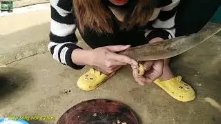 Được Vợ Tẩm Bổ Bằng Tiết Canh Lưỡi Lợn Chấm Chẵm Chéo Ngon Tê Lưỡi   Nhịp Sống Nông Thôn