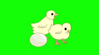 Chicks and eggs animation on green screen