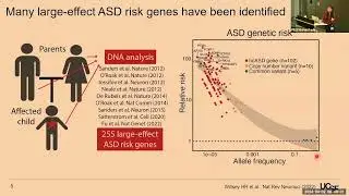 A Foundational Autism Protein Interaction Atlas Reveals Molecular Convergence