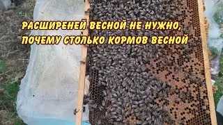 расширение весной не нужно почему столько кормов весной да